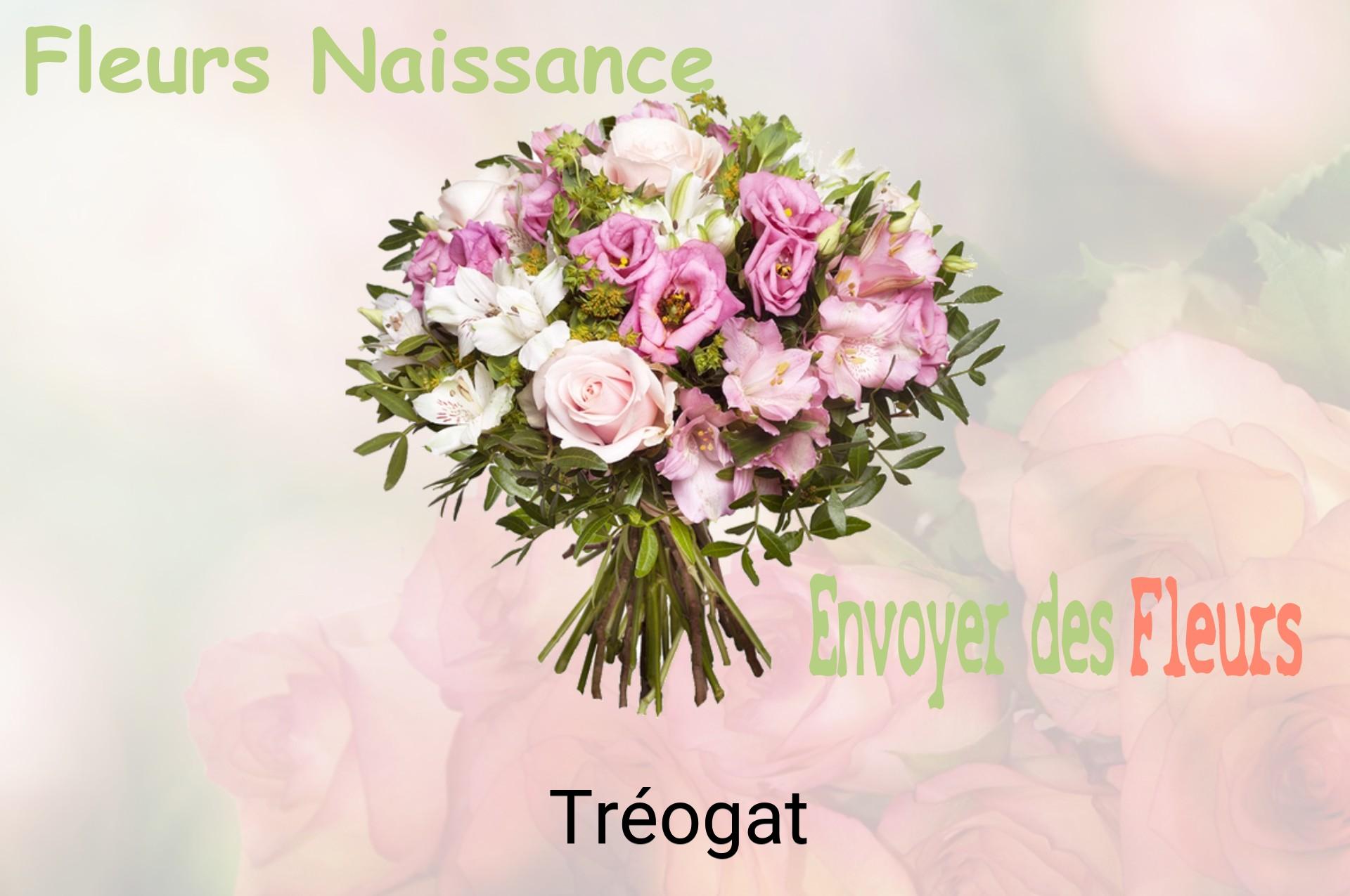 Bouquet de fleurs de naissance livré à Tréogat