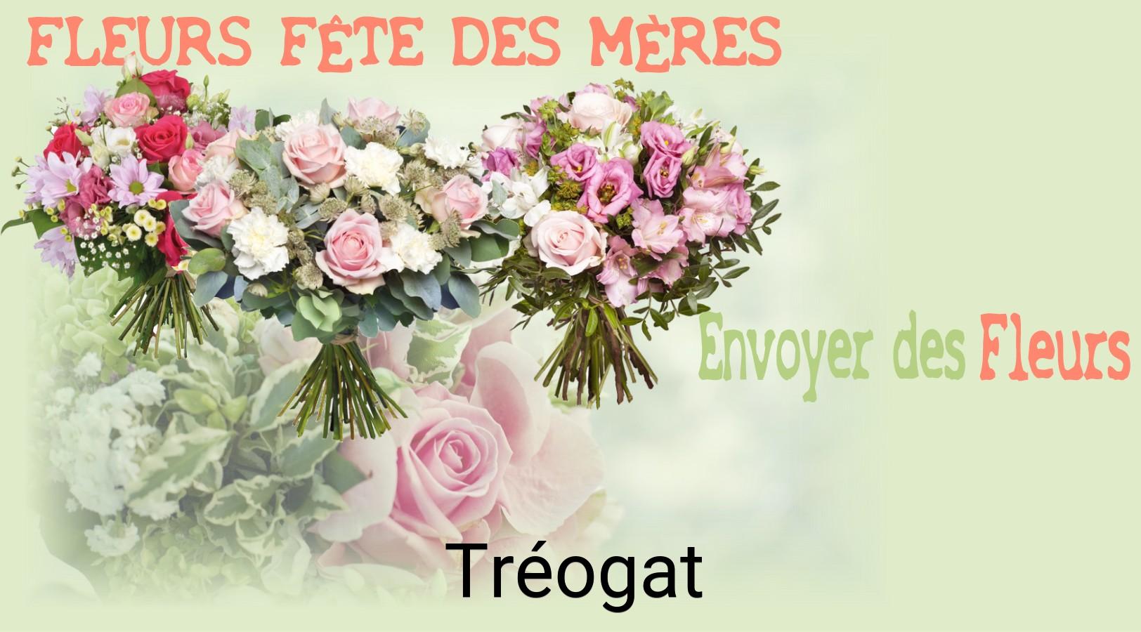 Bouquet de Fête des Mères livré à Tréogat